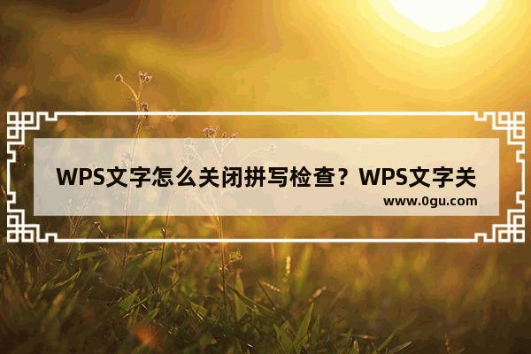 WPS文字怎么关闭拼写检查？WPS文字关闭拼写检查的具体操作步骤