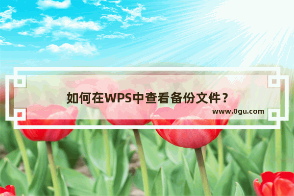 如何在WPS中查看备份文件？