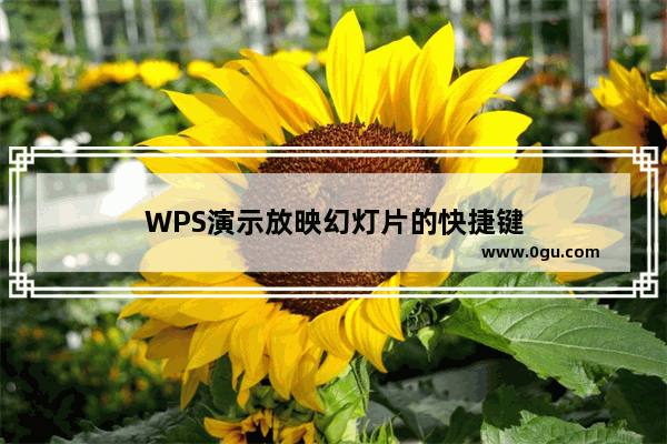 WPS演示放映幻灯片的快捷键