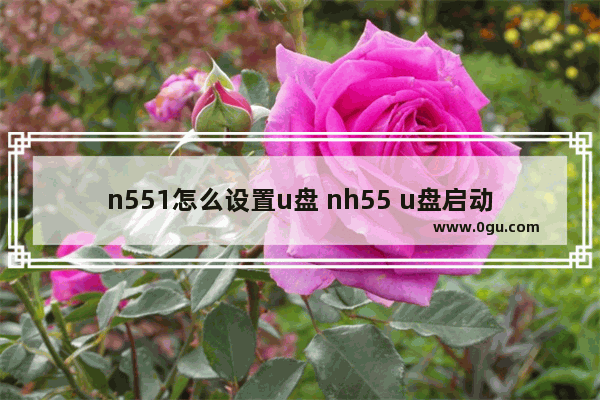 n551怎么设置u盘 nh55 u盘启动