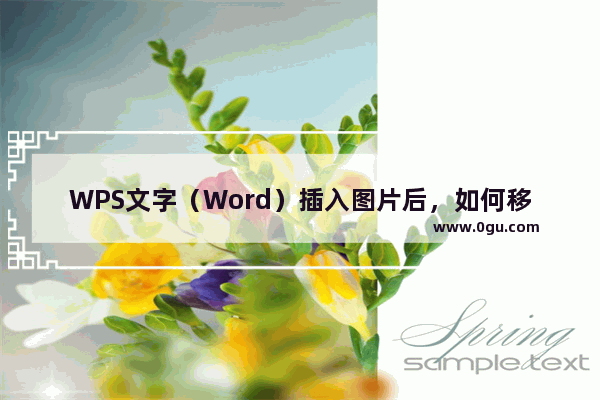 WPS文字（Word）插入图片后，如何移动图片？