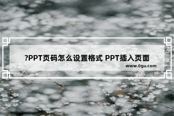 ?PPT页码怎么设置格式 PPT插入页面后统一设置格式的方法教程