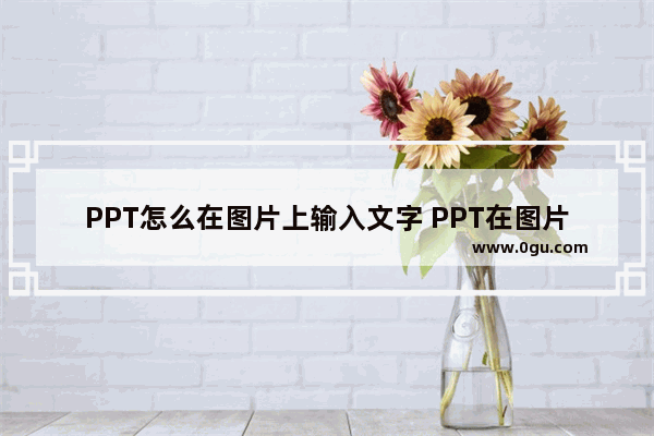 PPT怎么在图片上输入文字 PPT在图片上输入文字的方法