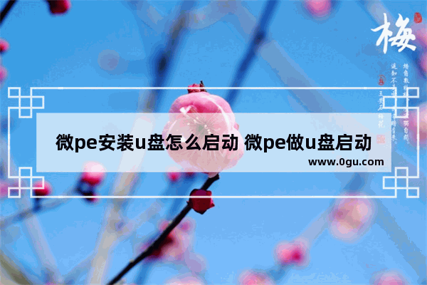 微pe安装u盘怎么启动 微pe做u盘启动