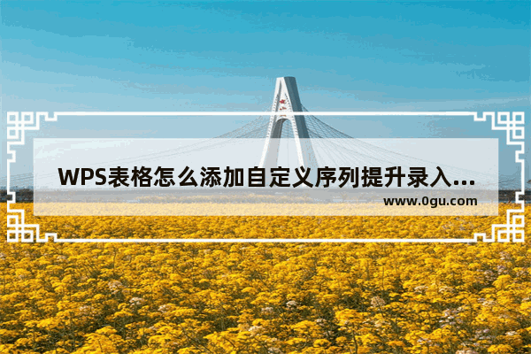 WPS表格怎么添加自定义序列提升录入效率