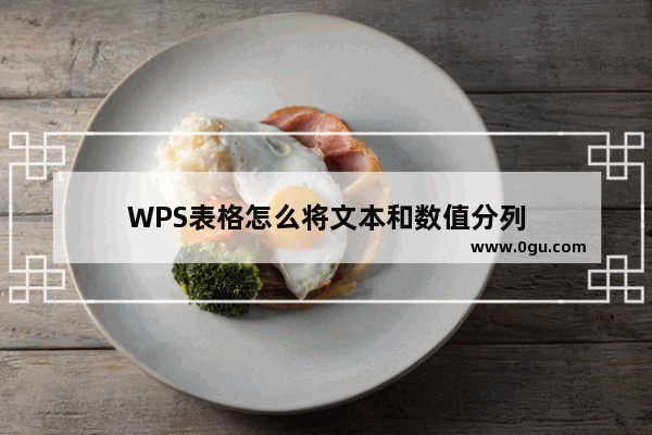 WPS表格怎么将文本和数值分列