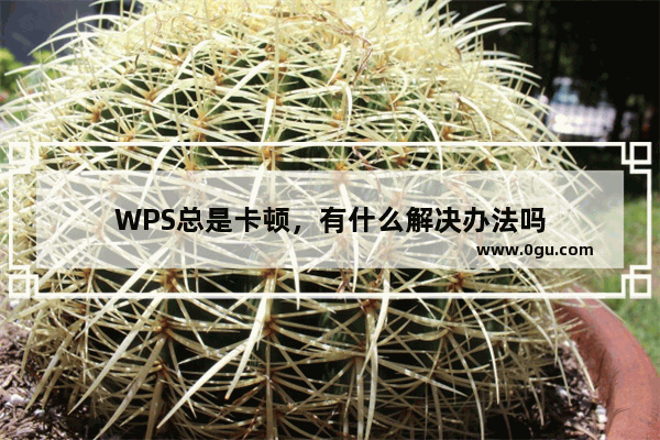 WPS总是卡顿，有什么解决办法吗