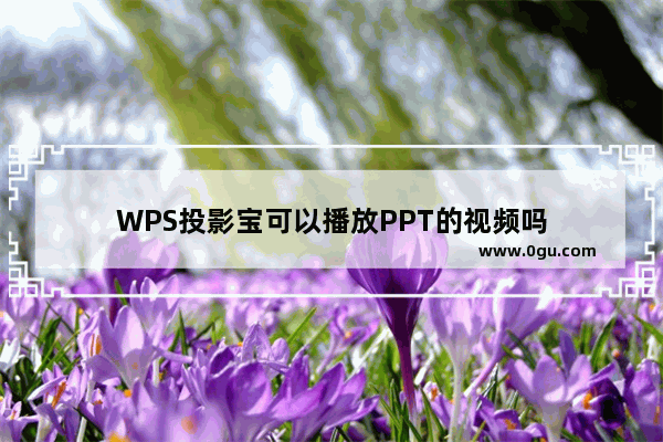 WPS投影宝可以播放PPT的视频吗