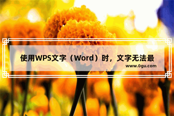 使用WPS文字（Word）时，文字无法最左端对齐，是什么原因？