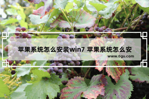 苹果系统怎么安装win7 苹果系统怎么安装exe文件