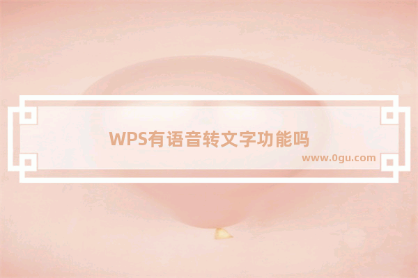 WPS有语音转文字功能吗