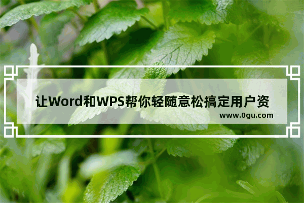 让Word和WPS帮你轻随意松搞定用户资料