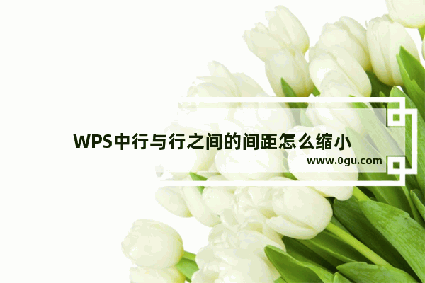 WPS中行与行之间的间距怎么缩小