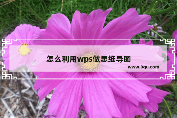 怎么利用wps做思维导图