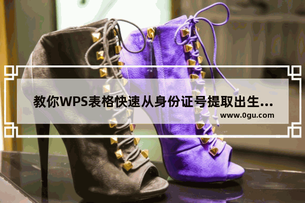 教你WPS表格快速从身份证号提取出生日期信息的方法