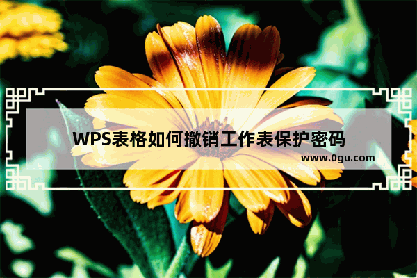 WPS表格如何撤销工作表保护密码