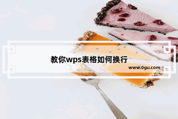 教你wps表格如何换行