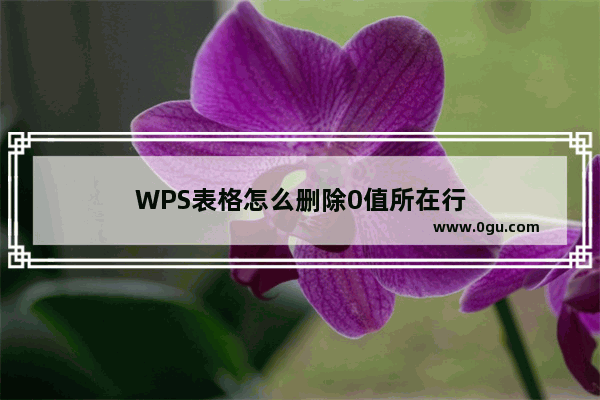 WPS表格怎么删除0值所在行