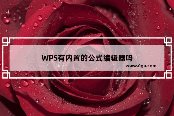 WPS有内置的公式编辑器吗