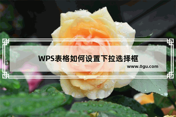 WPS表格如何设置下拉选择框