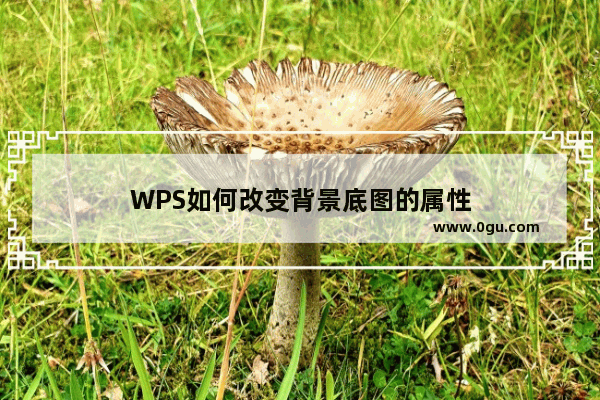 WPS如何改变背景底图的属性