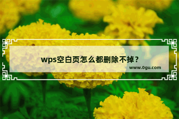 wps空白页怎么都删除不掉？