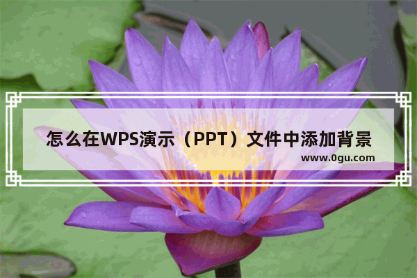 怎么在WPS演示（PPT）文件中添加背景音乐？