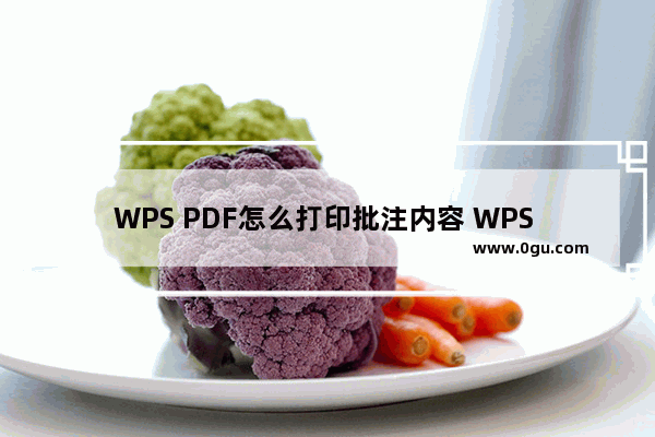 WPS PDF怎么打印批注内容 WPS PDF中打印注释内容的方法