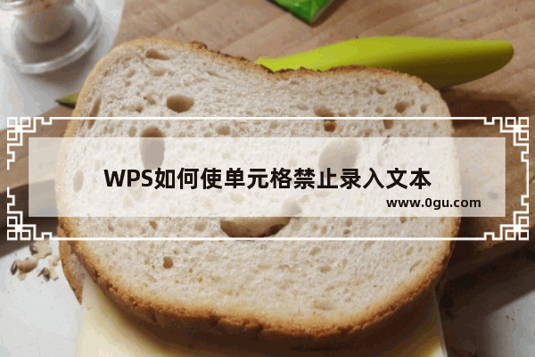 WPS如何使单元格禁止录入文本