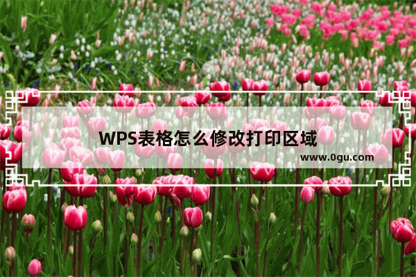 WPS表格怎么修改打印区域