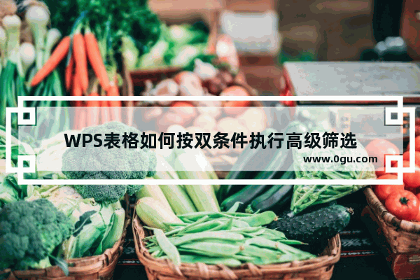 WPS表格如何按双条件执行高级筛选