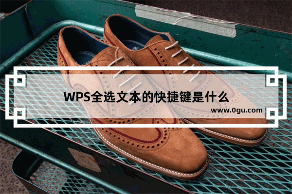 WPS全选文本的快捷键是什么