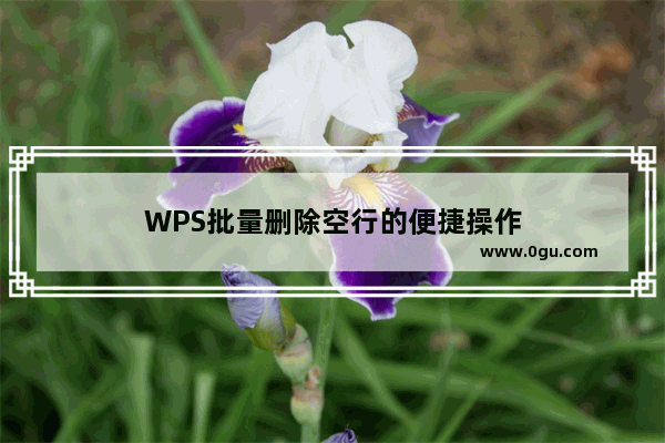 WPS批量删除空行的便捷操作