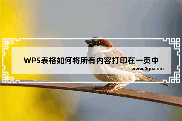 WPS表格如何将所有内容打印在一页中