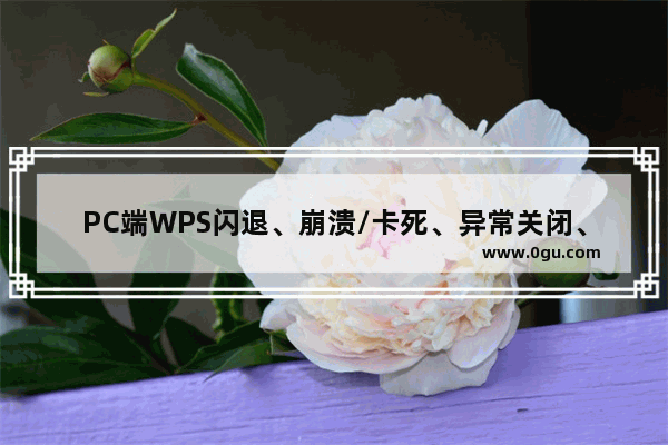 PC端WPS闪退、崩溃/卡死、异常关闭、使用卡顿问题解决方法