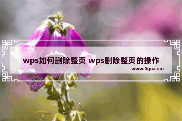 wps如何删除整页 wps删除整页的操作方法【详解】