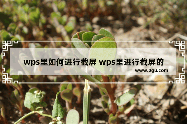 wps里如何进行截屏 wps里进行截屏的详细方法【详解】