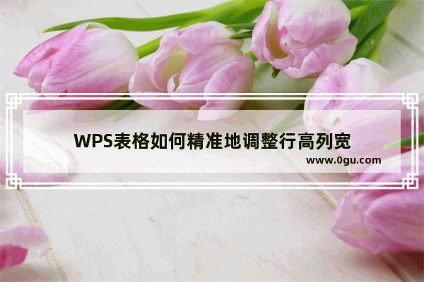 WPS表格如何精准地调整行高列宽