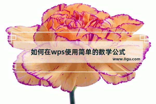 如何在wps使用简单的数学公式