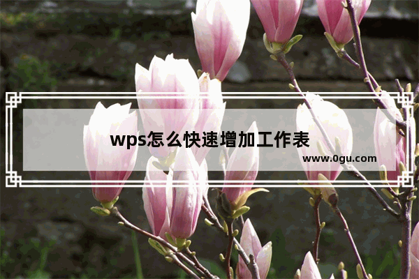 wps怎么快速增加工作表