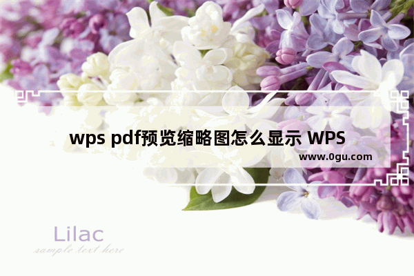 wps pdf预览缩略图怎么显示 WPS中查看PDF文档缩略图的方法