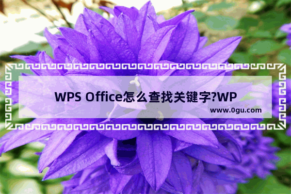 WPS Office怎么查找关键字?WPS Office查找关键字的方法教程