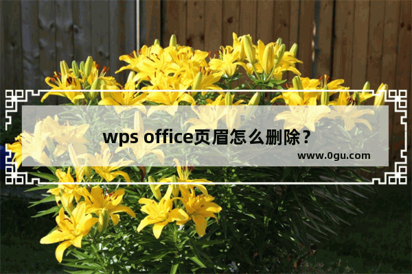 wps office页眉怎么删除？