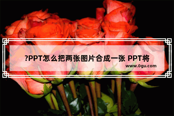 ?PPT怎么把两张图片合成一张 PPT将图片组合在一起的方法教程