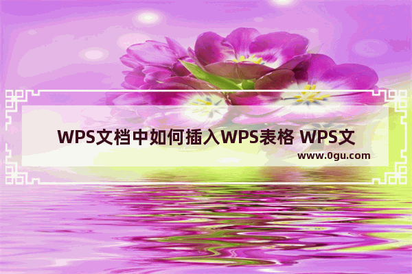 WPS文档中如何插入WPS表格 WPS文档中插入WPS表格的方法【详解】