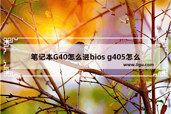 笔记本G40怎么进bios g405怎么进bios