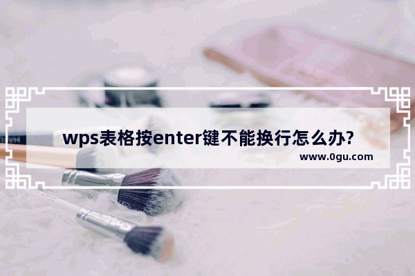 wps表格按enter键不能换行怎么办?wps表格按enter键换行的方法