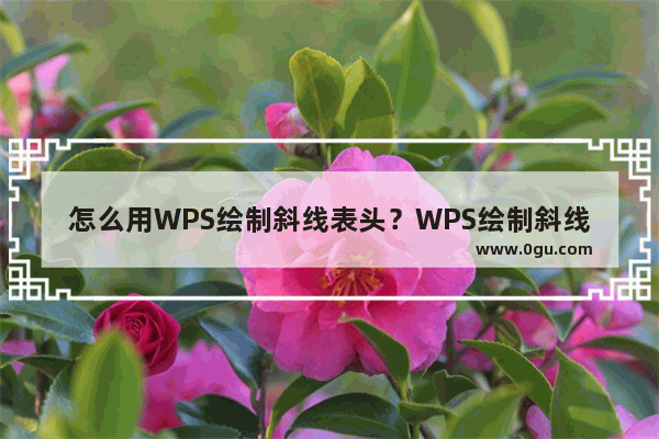 怎么用WPS绘制斜线表头？WPS绘制斜线表头的技巧