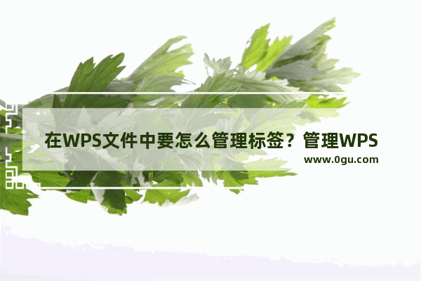 在WPS文件中要怎么管理标签？管理WPS标签的方法步骤