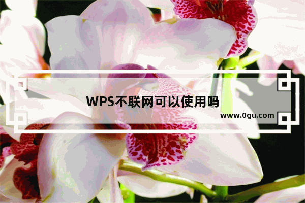 WPS不联网可以使用吗